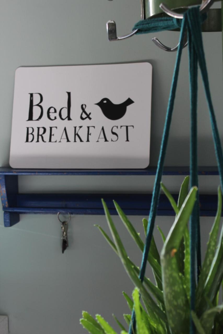 Het Aambeeld Bed and Breakfast Wanroij Exteriör bild